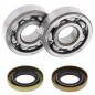 ALL BALLS ŁOŻYSKA WAŁU KORBOWEGO Z USZCZELNIACZAMI Husqvarna CR 65 12, KTM SX 60 98-00, SX 65 98-08, XC 65 08