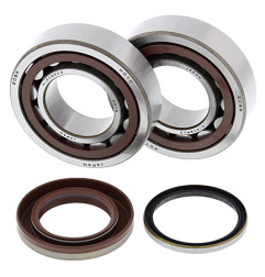 ALL BALLS ŁOŻYSKA WAŁU KORBOWEGO Z USZCZELNIACZAMI KTM SX-F 250 05-12, XC-F 250 07-12, XC-FW 250 06-12, KOYO