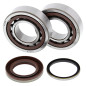ALL BALLS ŁOŻYSKA WAŁU KORBOWEGO Z USZCZELNIACZAMI KTM SX-F 250 05-12, XC-F 250 07-12, XC-FW 250 06-12, KOYO