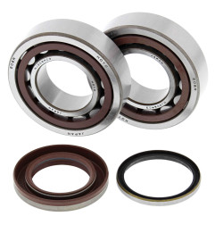 ALL BALLS ŁOŻYSKA WAŁU KORBOWEGO Z USZCZELNIACZAMI KTM SX-F 250 05-12, XC-F 250 07-12, XC-FW 250 06-12, KOYO