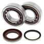 ALL BALLS ŁOŻYSKA WAŁU KORBOWEGO Z USZCZELNIACZAMI KTM SX-F 250 05-12, XC-F 250 07-12, XC-FW 250 06-12, KOYO