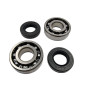 BEARING WORX ŁOŻYSKA WAŁU KORBOWEGO Z USZCZELNIACZAMI KAWASAKI KFX 80 '03-'06, SUZUKI LT-80 '87-'06 (NTN) BEARING WORX ŁOŻYSKA WAŁU KORBOWEGO Z USZCZELNIACZAMI KAWASAKI KFX 80 '03-'06, SUZUKI LT-80 '87-'06 (NTN)