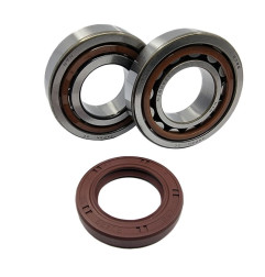BEARING WORX ŁOŻYSKA WAŁU KORBOWEGO KTM SX/EXC 400/450/520/525 (NTN) (MADE IN JAPAN) (24-1106)
