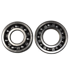 BEARING WORX ŁOŻYSKA WAŁU KORBOWEGO KAWASAKI KLX 125/125L '03-'06 (NTN) (MADE IN JAPAN) (24-1036)