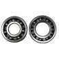 BEARING WORX ŁOŻYSKA WAŁU KORBOWEGO KAWASAKI KLX 125/125L '03-'06 (NTN) (MADE IN JAPAN) (24-1036)
