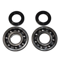 BEARING WORX ŁOŻYSKA WAŁU KORBOWEGO KAWASAKI KDX 200 '91-'06, KDX 220 '97-'05 (NTN) (MADE IN JAPAN) (24-1045)
