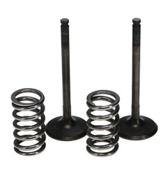 PROX ZAWORY WYDECHOWE /ZESTAW ZE SPRĘŻYNAMI/ YAMAHA YZF 450 (03-09) WRF 450 (03-14) YFZ 450 (04-12)
