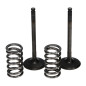 PROX ZAWORY WYDECHOWE /ZESTAW ZE SPRĘŻYNAMI/ YAMAHA YZF 450 (03-09) WRF 450 (03-14) YFZ 450 (04-12) PROX ZAWORY WYDECHOWE /ZESTAW ZE SPRĘŻYNAMI/ YAMAHA YZF 450 (03-09) WRF 450 (03-14) YFZ 450 (04-12)