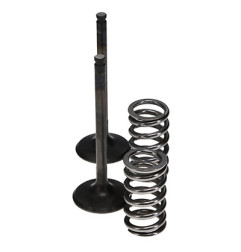 PROX ZAWORY WYDECHOWE /ZESTAW ZE SPRĘŻYNAMI/ YAMAHA YZF 450 (03-09) WRF 450 (03-14) YFZ 450 (04-12)