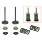 PSYCHIC ZAWORY SSĄCE KAWASAKI KXF 250 '09-'10 STALOWE (31X4,47X79,3MM)