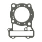 ATHENA USZCZELKA POD GŁOWICĘ ( GŁOWICY ) HONDA VT 600C '88-'00 (PC21) OEM, 12251MR1831, 12251MR1003