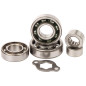HOT RODS ZESTAW NAPRAWCZY SKRZYNI BIEGÓW YAMAHA YFS 200 BLASTER 98-06 - ZASTĘPUJE TBK0074 ORAZ TBK0073 HOT RODS ZESTAW NAPRAWCZY SKRZYNI BIEGÓW YAMAHA YFS 200 BLASTER 98-06 - ZASTĘPUJE TBK0074 ORAZ TBK0073