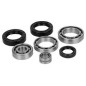 ALL BALLS ZESTAW NAPRAWCZY SKRZYNI BIEGÓW POLARIS RZR 900/1000 16-19, RZR XP 14-19 - PATRZ OPIS DODATKOWY