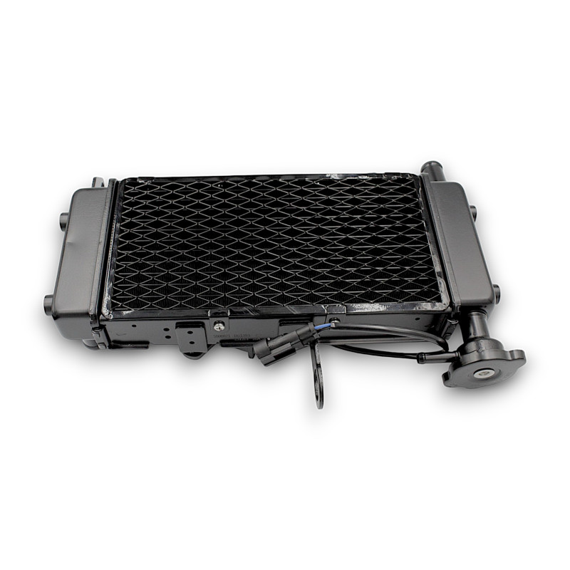 CHŁODNICA SRV125 CHŁODNICA SRV125