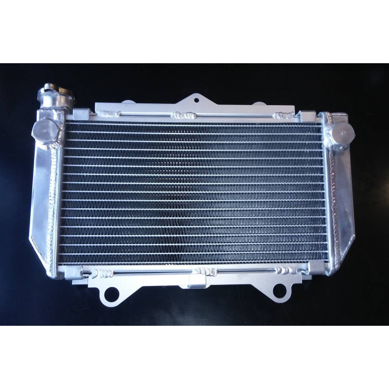 Chłodnica Yamaha YFZ450 2004-2009 2012-2013 5TG-12461-00-00 5TG-12461-10-00 Chłodnica Yamaha YFZ450 2004-2009 2012-2013 5TG-12461-00-00 5TG-12461-10-00