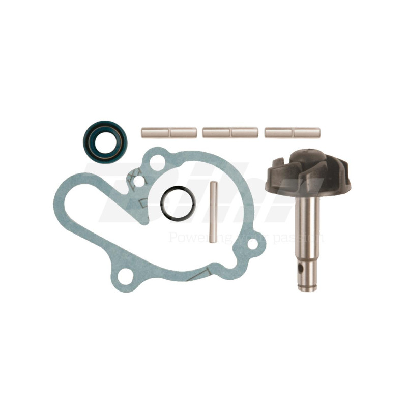 V PARTS (VICMA) ZESTAW NAPRAWCZY POMPY WODY AM6 (APRILIA 50, MBK 50, YAMAHA DT/TZR 50)) (6216) V PARTS (VICMA) ZESTAW NAPRAWCZY POMPY WODY AM6 (APRILIA 50, MBK 50, YAMAHA DT/TZR 50)) (6216)