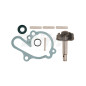 V PARTS (VICMA) ZESTAW NAPRAWCZY POMPY WODY AM6 (APRILIA 50, MBK 50, YAMAHA DT/TZR 50)) (6216) V PARTS (VICMA) ZESTAW NAPRAWCZY POMPY WODY AM6 (APRILIA 50, MBK 50, YAMAHA DT/TZR 50)) (6216)