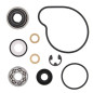 WINDEROSA (VERTEX) ZESTAW NAPRAWCZY POMPY WODY SUZUKI LTA 500 VINSON '02-07, ARCTIC CAT 500 '00-'06 WINDEROSA (VERTEX) ZESTAW NAPRAWCZY POMPY WODY SUZUKI LTA 500 VINSON '02-07, ARCTIC CAT 500 '00-'06