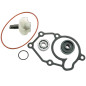 V PARTS (VICMA) ZESTAW NAPRAWCZY POMPY WODY YAMAHA VP/YP 125 X-CITY, X-MAX 125, R-MAX 125, YZF 125R, WR 125R/X (13978) V PARTS (VICMA) ZESTAW NAPRAWCZY POMPY WODY YAMAHA VP/YP 125 X-CITY, X-MAX 125, R-MAX 125, YZF 125R, WR 125R/X (13978)