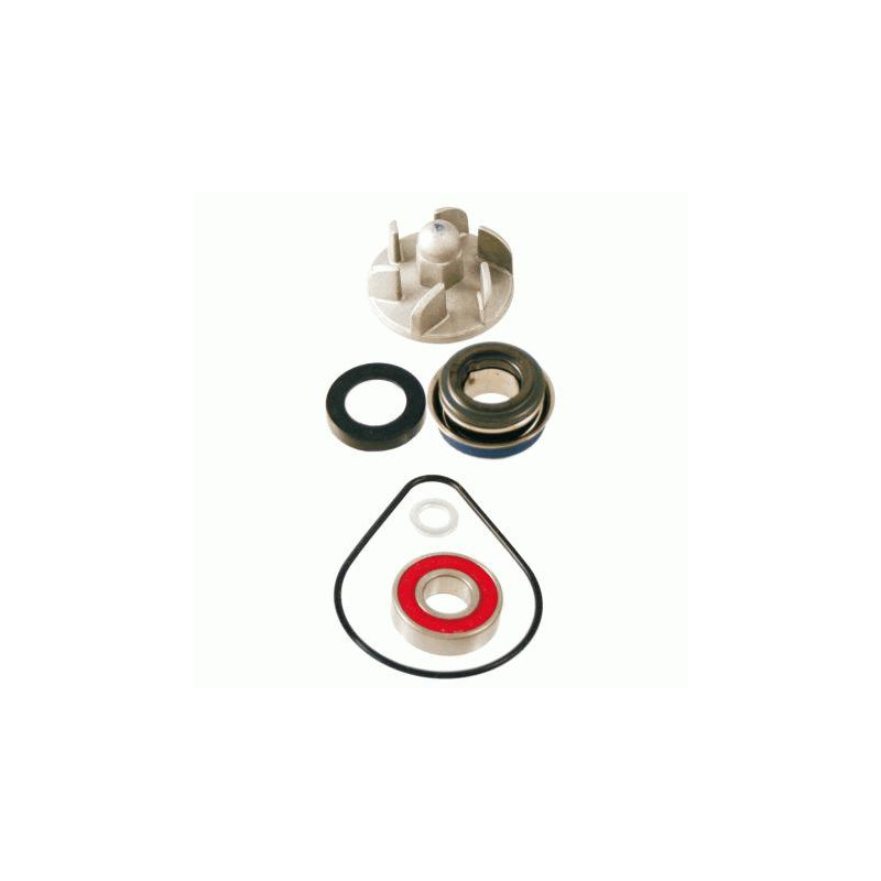 ZESTAW NAPRAWCZY POMPA WODY HONDA PANTHEON 125-150 2T ZESTAW NAPRAWCZY POMPA WODY HONDA PANTHEON 125-150 2T