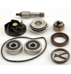 ZESTAW NAPRAWCZY POMPA WODY PIAGGIO / GILLERA NEXUS 250 /30 / 500