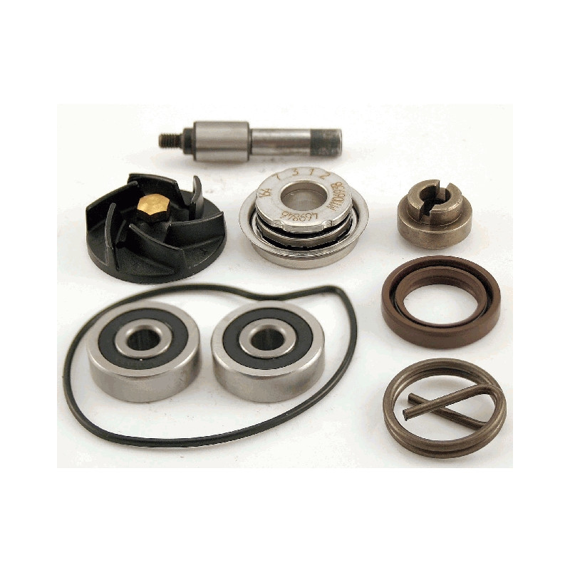 ZESTAW NAPRAWCZY POMPA WODY PIAGGIO / GILLERA NEXUS 250 /30 / 500 ZESTAW NAPRAWCZY POMPA WODY PIAGGIO / GILLERA NEXUS 250 /30 / 500