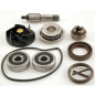 ZESTAW NAPRAWCZY POMPA WODY PIAGGIO / GILLERA NEXUS 250 /30 / 500 ZESTAW NAPRAWCZY POMPA WODY PIAGGIO / GILLERA NEXUS 250 /30 / 500