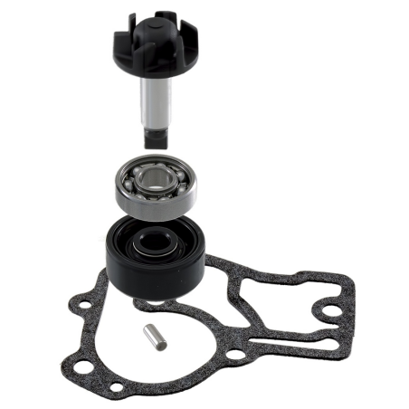 ZESTAW NAPRAWCZY POMPA WODY NEOS 4T 50CC