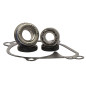 HOT RODS ZESTAW NAPRAWCZY POMPY WODY KAWASAKI KVF 650 06-13, KVF 750 05-07, KFX 700 04-09, PRAIRIE 650/700 HOT RODS ZESTAW NAPRAWCZY POMPY WODY KAWASAKI KVF 650 06-13, KVF 750 05-07, KFX 700 04-09, PRAIRIE 650/700