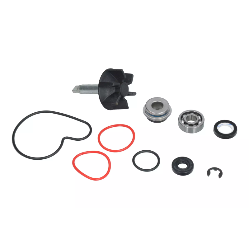 Zestaw naprawczy pompy wody Magneti Marelli Suzuki Burgman 400 99-06