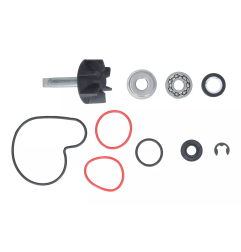 Zestaw naprawczy pompy wody Magneti Marelli Suzuki Burgman 400 99-06