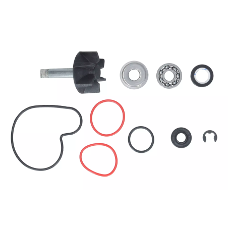 Zestaw naprawczy pompy wody Magneti Marelli Suzuki Burgman 400 99-06