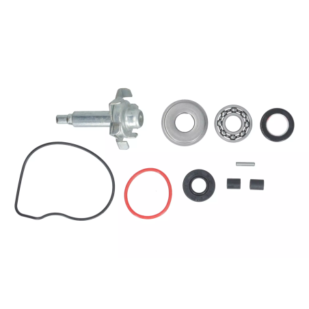 Zestaw naprawczy pompy wody Magneti Marelli Honda PCX 125 150 10-