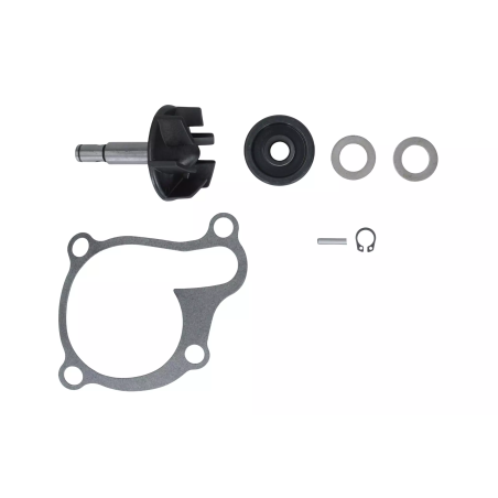 Zestaw naprawczy pompy wody Magneti Marelli Yamaha YZF R3 MT-03 15-21