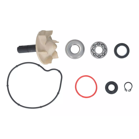 Zestaw naprawczy pompy wody Magneti Marelli Yamaha T-Max 530 560