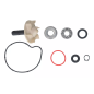 Zestaw naprawczy pompy wody Magneti Marelli Yamaha T-Max 530 560 Zestaw naprawczy pompy wody Magneti Marelli Yamaha T-Max 530 560