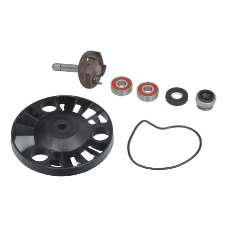 Zestaw naprawczy pompy wody Magneti Marelli Piaggio X9 180 200 Gilera Nexus 125