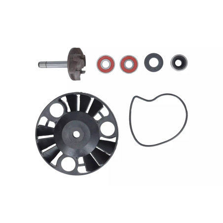 Zestaw naprawczy pompy wody Magneti Marelli Piaggio X9 180 200 Gilera Nexus 125