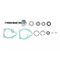 Zestaw naprawczy pompy wody Magneti Marelli Kymco Dink B&W 125 150