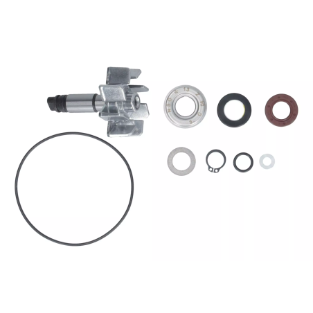 Zestaw naprawczy pompy wody Magneti Marelli BMW C 600 650