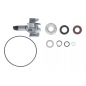 Zestaw naprawczy pompy wody Magneti Marelli BMW C 600 650