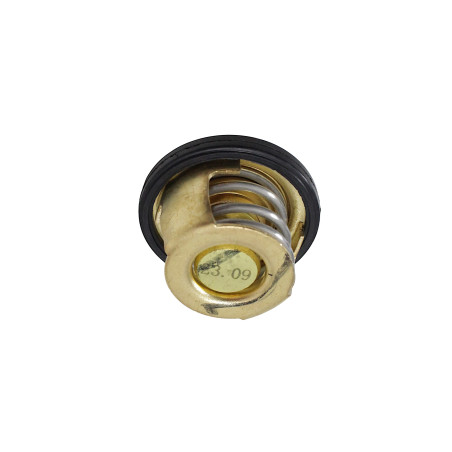 TERMOSTAT SRK125S SRV125 SRT550X SRK125R SRT550SX SRT600SX COV125X SRT300DX SRT125DX