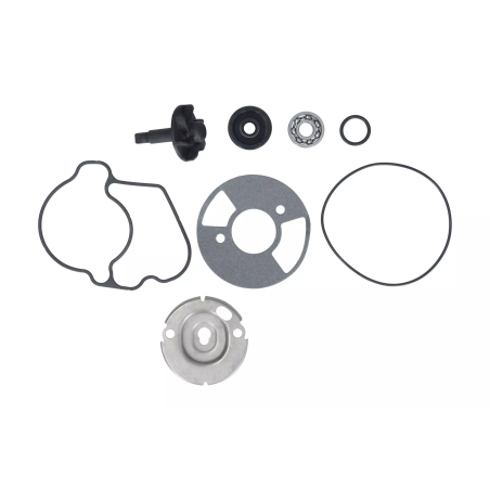 Zestaw naprawczy pompy wody Magneti Marelli Yamaha Xenter 125 150