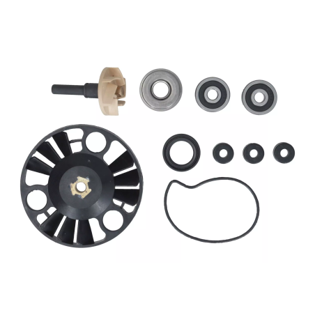 Zestaw naprawczy pompy wody Magneti Marelli Benelli TRK 502 20-23
