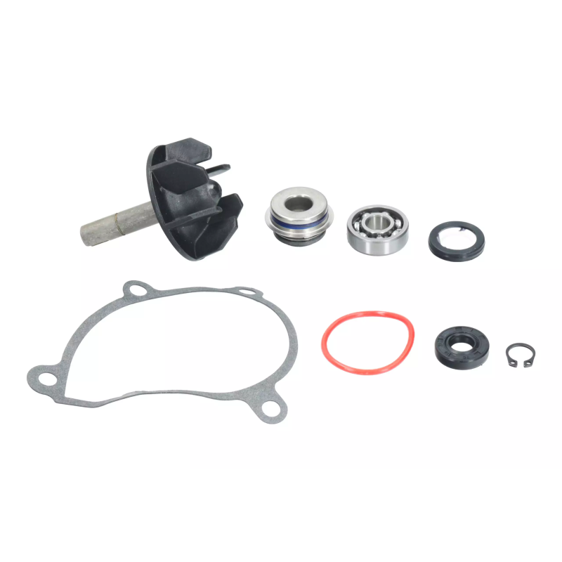 Zestaw naprawczy pompy wody Magneti Marelli Yamaha YZF R6 600 06-22