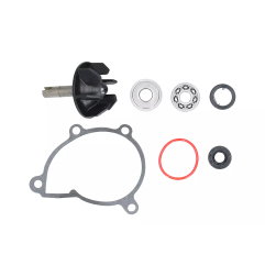 Zestaw naprawczy pompy wody Magneti Marelli Yamaha YZF R6 600 06-22