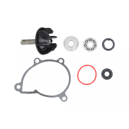 Zestaw naprawczy pompy wody Magneti Marelli Yamaha YZF R6 600 06-22