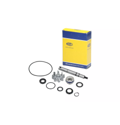 Zestaw naprawczy pompy wody Magneti Marelli Kymco X-Citing R Ri 500