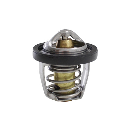 TERMOSTAT FORT350