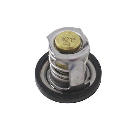 TERMOSTAT FORT350